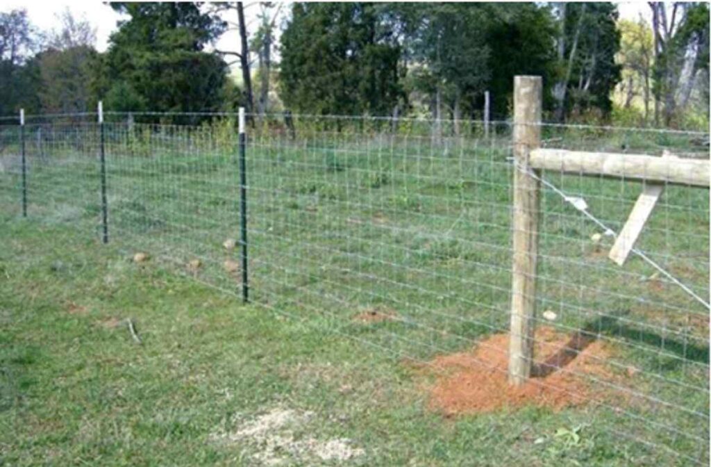 Installing Wire Fence With T Posts - SimplyHindu